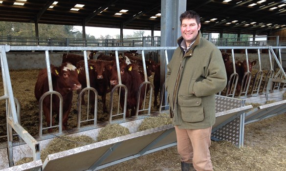 a man standing in front of a group of cows